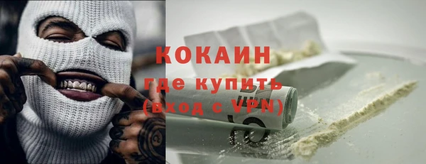 прущие грибы Лабытнанги