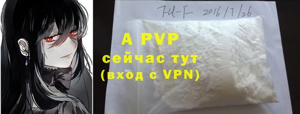 прущие грибы Лабытнанги