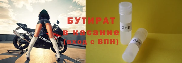 прущие грибы Лабытнанги