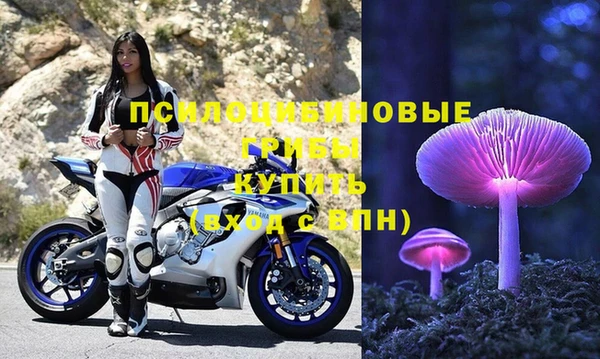 прущие грибы Лабытнанги