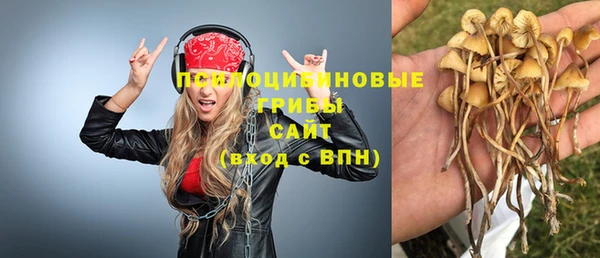 стаф Санкт-Петербург